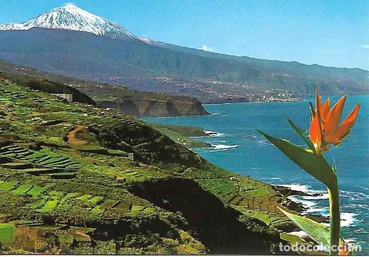 Postcards: TENERIDE - ZONA NORTE CON EL TEIDE