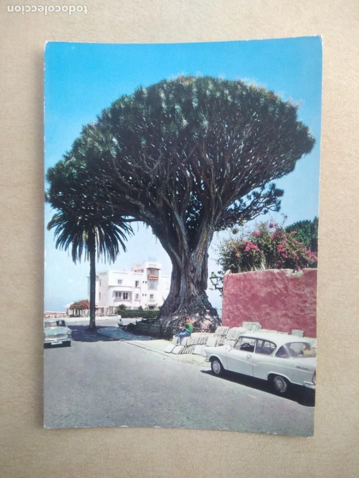 Postales: Postal tenerife el drago - Foto 1