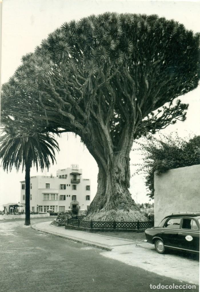 Postkarten: SANTA CRUZ TENERIFE HOTEL Y DRAGO ICOD DE LOS VINOS. TAXI. CIRCULADA EN 1965. RARA.