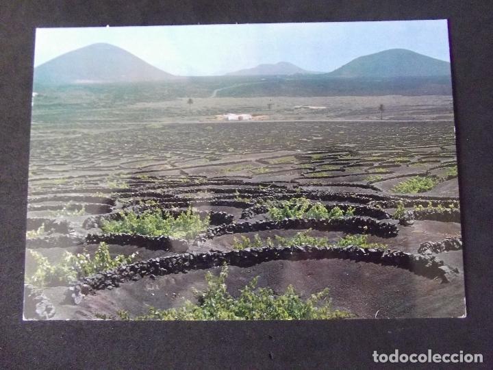 Postales: LANZAROTE-V49-NO ESCRITA-LA GERIA