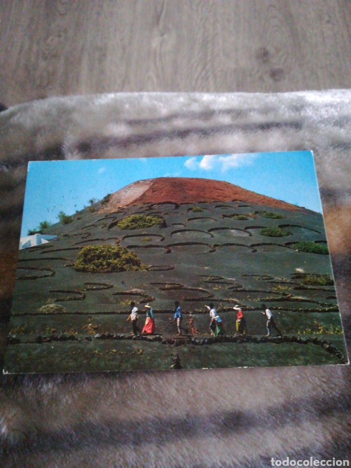 Postales: Postal Islas Canarias la geria de los vinos lanzarote 1983