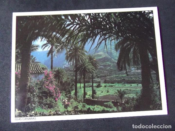 Postales: CANARIAS-V49-NO ESCRITA-ISLAS CANARIAS-VALLE DE AGAETE