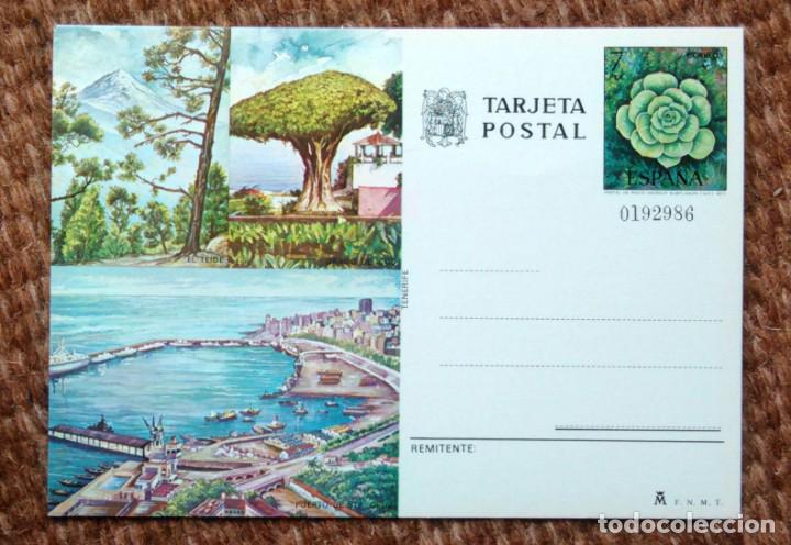 Postales: TARJETA POSTAL - TENERIFE - Foto 1