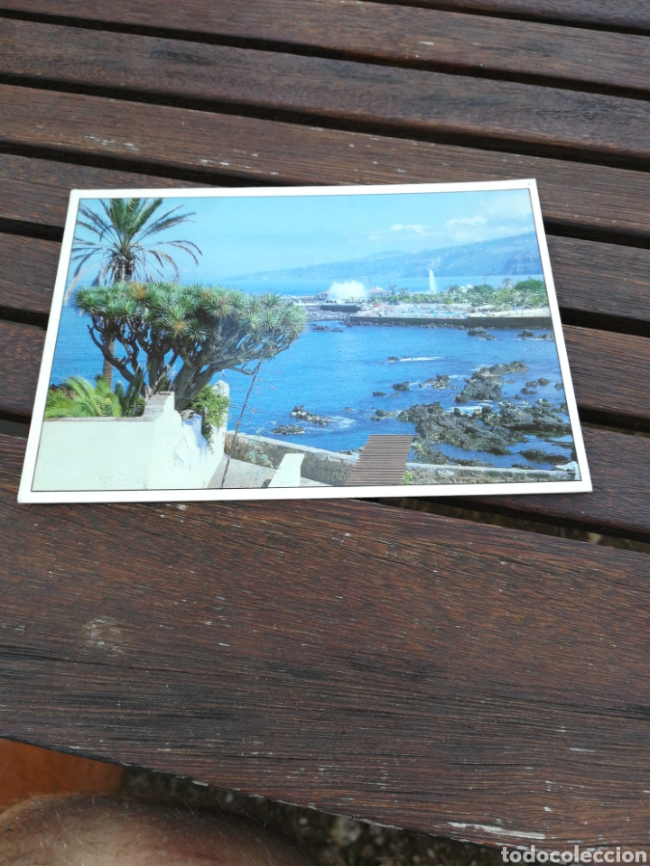 Postales: Postal 28 Islas Canarias Puerto de la Cruz Tenerife