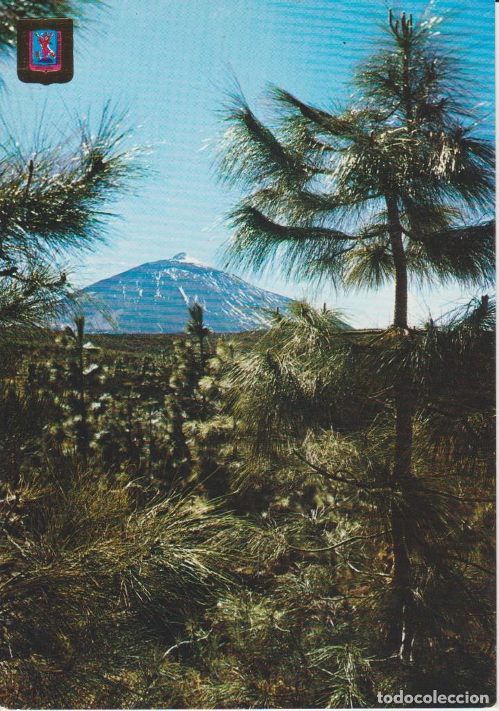 Postales: (247) TENERIFE. EL TEIDE ... SIN CIRCULAR - Foto 1
