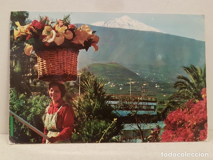 Cartoline: antigua postal puerto de la cruz tenerife al fondo el volcan teide circulada