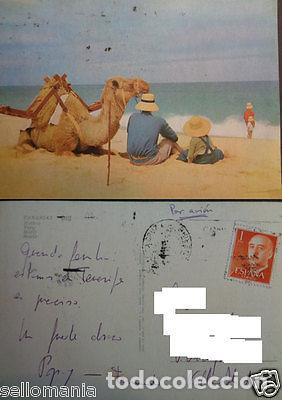 Postais: POSTAL DE UN CAMELLO EN LA PLAYA CANARIAS CAMEL POSTCARD POSTKARTE CC03074