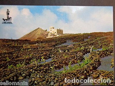 Postales: POSTAL VI&Ntilde;EDOS DEL NORTE LANZAROTE ISLAS CANARIAS POSTCARD POSTKARTE CC03117