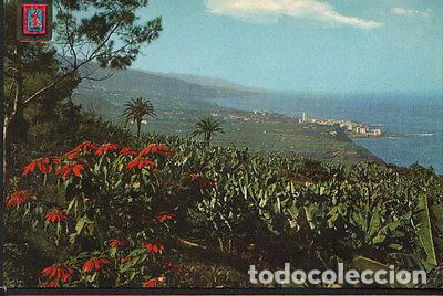 Postales: POSTAL VALLE DE LA OROTAVA TENERIFE ISLAS CANARIAS POSTCARD POSTKARTE CC02017