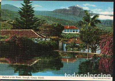 Postales: POSTAL CARRETERA DEL NORTE TENERIFE ISLAS CANARIAS POSTCARD POSTKARTE CC02050