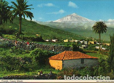 Postales: POSTAL SANTA URSULA TEIDE TENERIFE ISLAS CANARIAS POSTCARD POSTKARTE CC02055