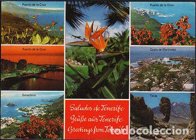 Postales: POSTAL SALUDOS DE TENERIFE ISLAS CANARIAS POSTCARD POSTKARTE CC02042