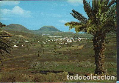 Postales: POSTAL DE HARIA VALLE LAS PALMERAS LANZAROTE CANARIAS POSTCARD POSTKARTE CC02070