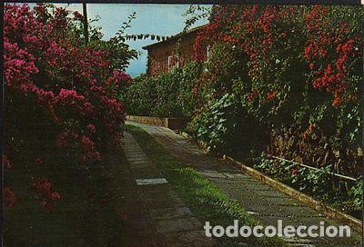 Postales: POSTAL ISLAS CANARIAS PAISAJE TIPICO CON FLORES POSTCARD POSTKARTE CC02080