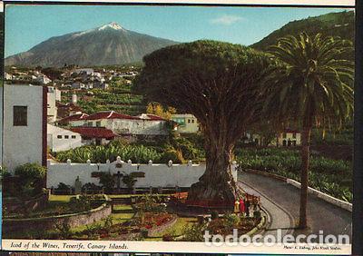 Cartes Postales: POSTAL ICOD DE LOS VINOS TENERIFE ISLAS CANARIAS POSTCARD POSTKARTE CC02054