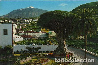 Cartes Postales: POSTAL ICOD DE LOS VINOS TENERIFE ISLAS CANARIAS POSTCARD POSTKARTE CC02051