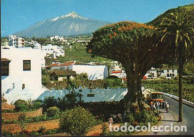 Cartes Postales: POSTAL DE ICOD DRAGO Y TEIDE TENERIFE ISLAS CANARIAS POSTCARD POSTKARTE CC02093