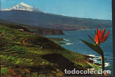 Cartes Postales: POSTAL ZONA NORTE Y TEIDE TENERIFE ISLAS CANARIAS POSTCARD POSTKARTE CC02134