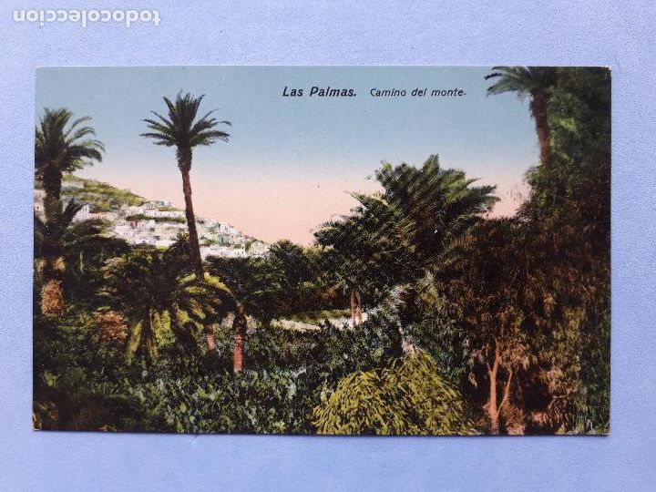 Postales: Las Palmas. Camino del Monte. - Foto 1