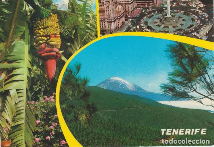 Postales: (1465) TENERIFE - Foto 1
