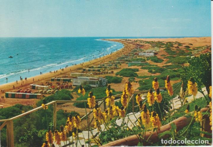 Postales: (6041) PLAYA DEL INGLES. GRAN CANARIA