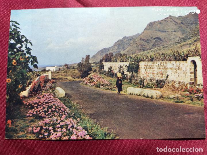 Cartes Postales: TARJETA POSTAL. ISLAS CANARIAS. CARRETERA