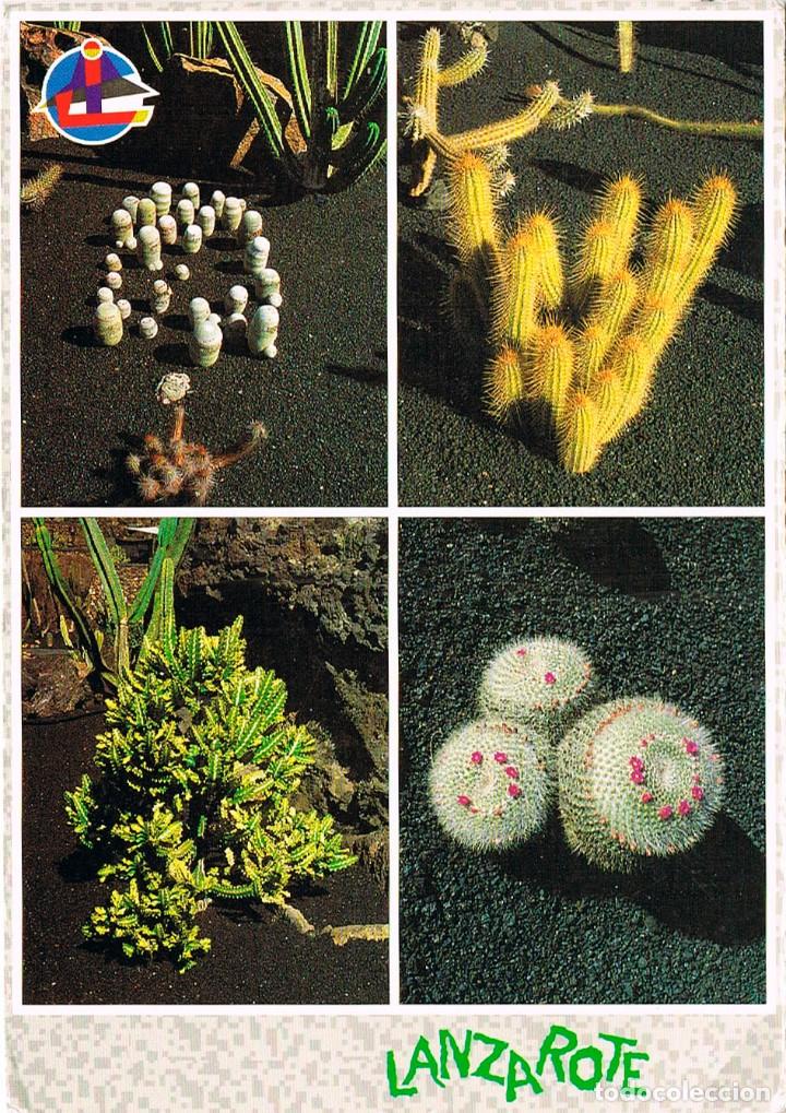 Postales: Lanzarote, Jardin de Cactus - Foto 1