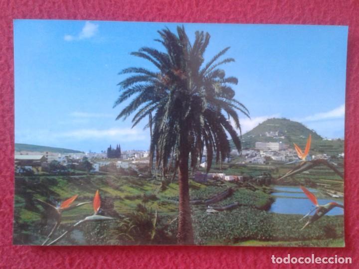Postales: POST CARD GRAN CANARIA CANARY ISLANDS PAISAJE EDICIONES ISLAS, SPAIN ESPAGNE..VER FOTO Y DESCRIPCI&Oacute;N