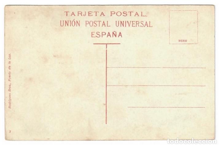 Postales: ESPA&Ntilde;A &diams; LAS PALMAS &diams; UN DRAGO - Foto 2