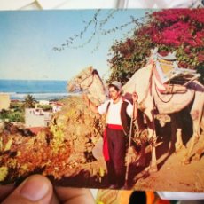 Cartes Postales: POSTAL ISLAS CANARIAS ISLA DE TENERIFE ESCENA TÍPICA ESCRITA Y RECORTADA. Lote 224865478