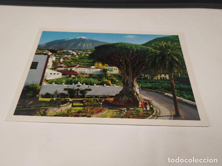 Postales: TENERIFE - POSTAL ICOD DE LOS VINOS - Foto 1