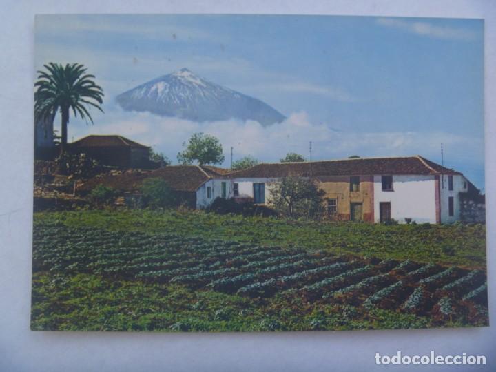 Cartoline: POSTAL DE CANARIAS : EL TEIDE Y PAISAJE TIPICO . A&Ntilde;OS 60