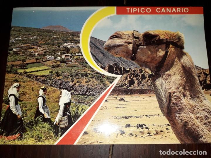 Cartoline: N&ordm; 41349 POSTAL ISLAS CANARIAS TIPICO CANARIO