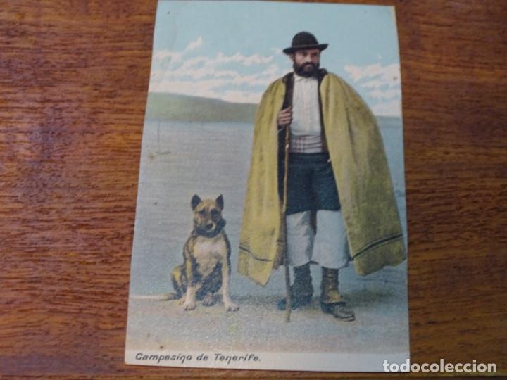 Postales: CAMPESINO DE TENERIFE. - Foto 1