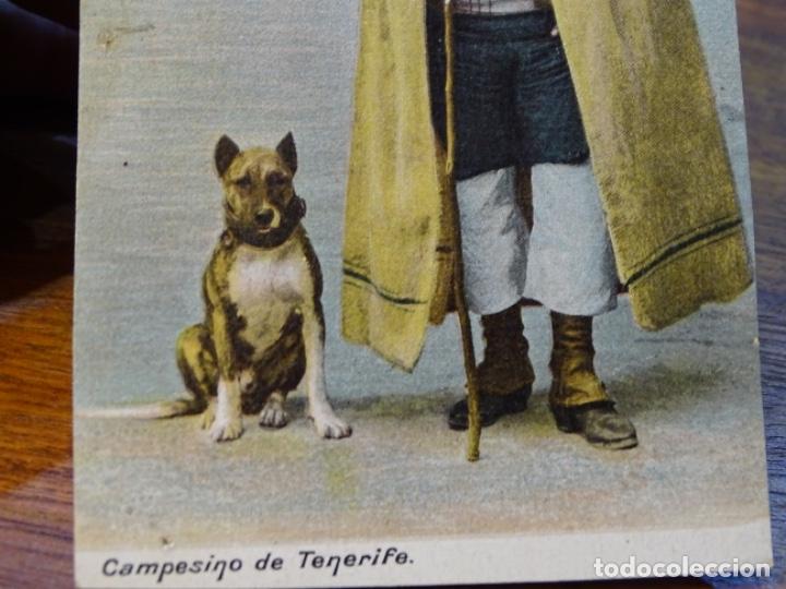 Postales: CAMPESINO DE TENERIFE. - Foto 2