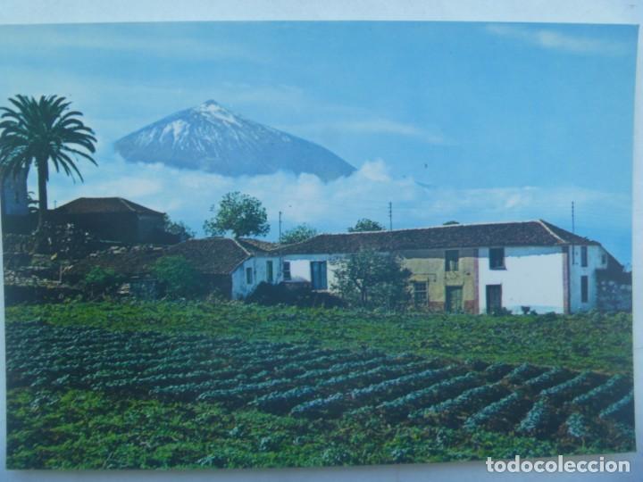 Postais: POSTAL DE CANARIAS : EL TEIDE Y PAISAJE TIPICO . A&Ntilde;OS 60