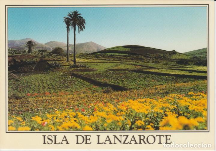 Postales: (86) LANZAROTE. .. SIN CIRCULAR - Foto 1