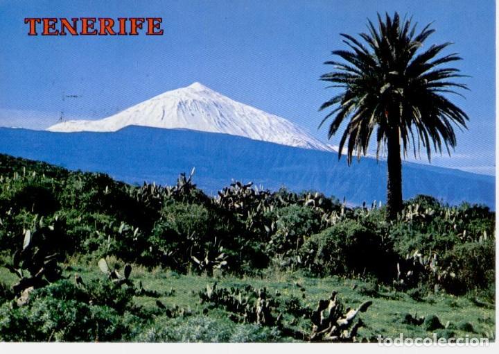 Postales: (5596) TENERIFE . TEIDE - Foto 1