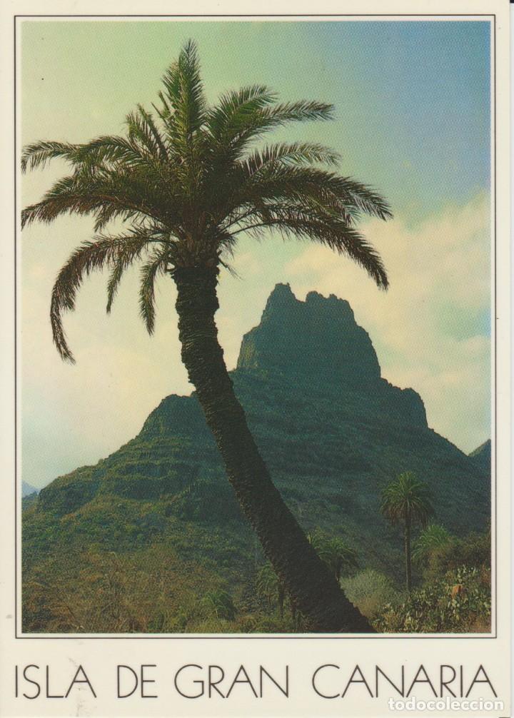 Postcards: (1128) GRAN CANAIA. SANTA LUCIA. LA FORTALEZA. ... SIN CIRCULAR
