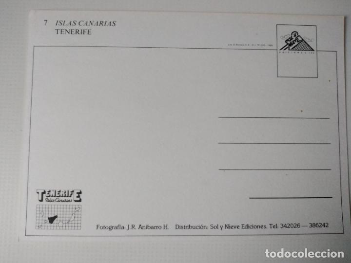 Postales: TENERIFE. ISLAS CANARIAS. POSTAL SIN CIRCULAR - Foto 2