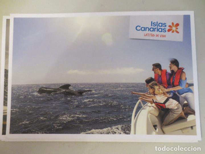 Cartoline: islas canarias. latitud de vida