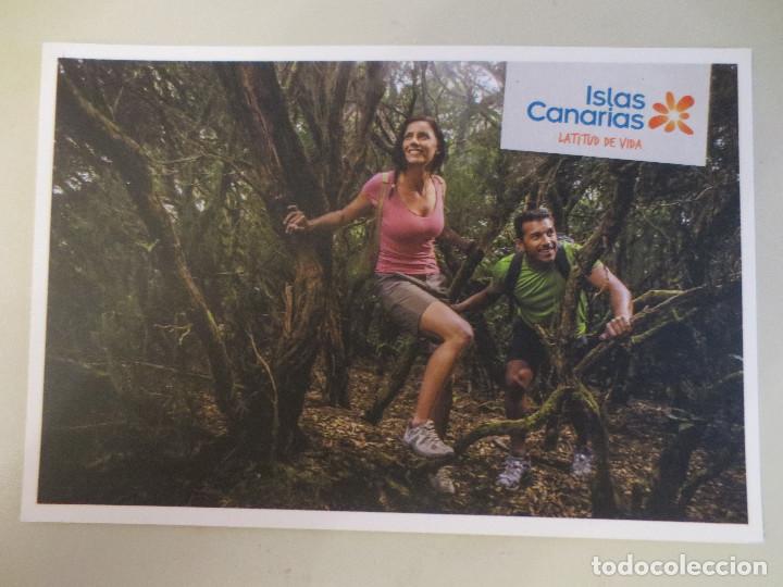 Cartoline: islas canarias. latitud de vida