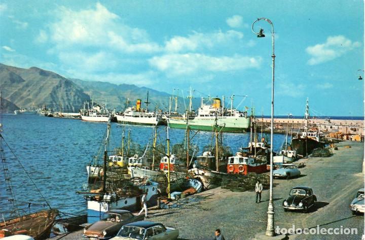 Cartoline: N&ordm; 2359-SANTA CRUZ DE TENERIFE. Puerto. Sin circular. EDICIONES GASTEIZ