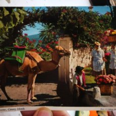 Cartes Postales: POSTAL ISLAS CANARIAS IMAGEN TÍPICA 2CTG 21 JOHN HINDE S/C. Lote 249293190