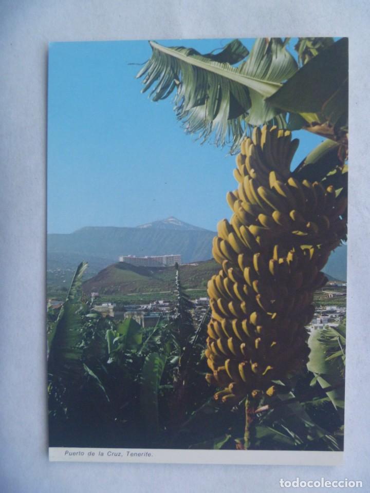 Cartoline: POSTAL DE LAS ISLAS CANARIAS : VISTA DEL TEIDE DESDE EL PUERTO DE LA CRUZ CON PLATANERAS