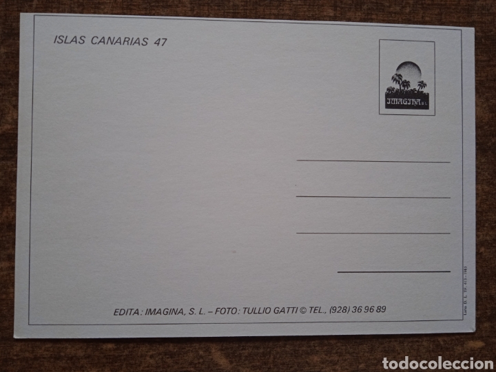 Postales: Postal Canarias. Sin circular. - Foto 2