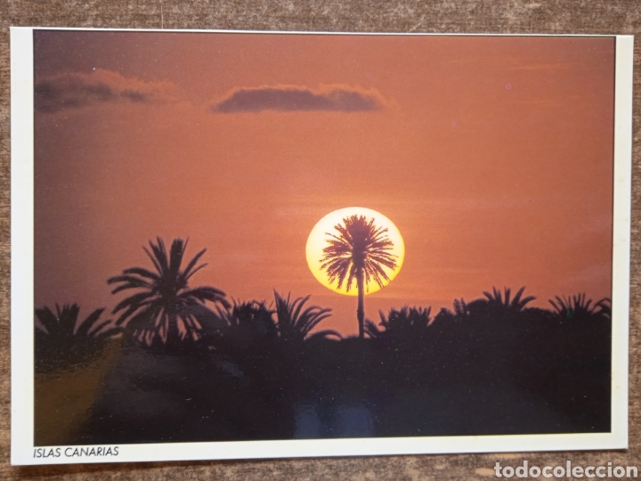 Postales: Postal Canarias. Sin circular. - Foto 1