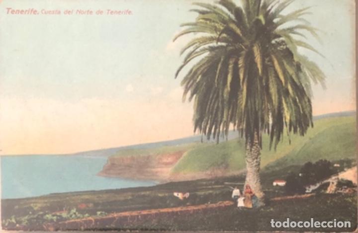 Postales: Postal de Tenerife - Foto 1