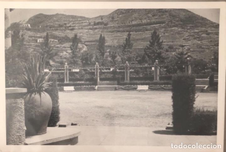 Postales: Postal de Tenerife - Foto 1