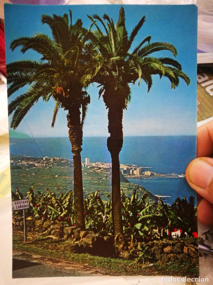 Cartes Postales: Postal PUERTO DE CRUZ Tenerife Palmera y Plantaciones de Bananas N 400 RO escrita y Sellada
